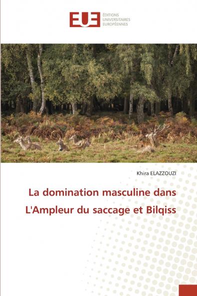 La domination masculine dans L'Ampleur du saccage et Bilqiss