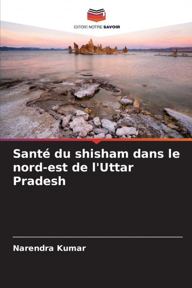 Santé du shisham dans le nord-est de l'Uttar Pradesh