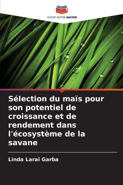 Sélection du maïs pour son potentiel de croissance et de rendement dans l'écosystème de la savane