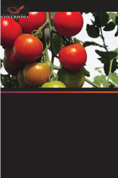 Szczepienie pomidorów w celu poprawy plonów i jakości w Tanzanii