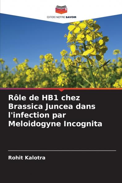 Rôle de HB1 chez Brassica Juncea dans l'infection par Meloidogyne Incognita