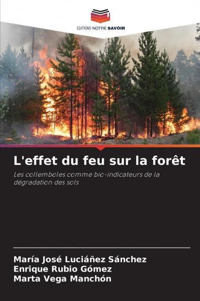 L'effet du feu sur la forêt