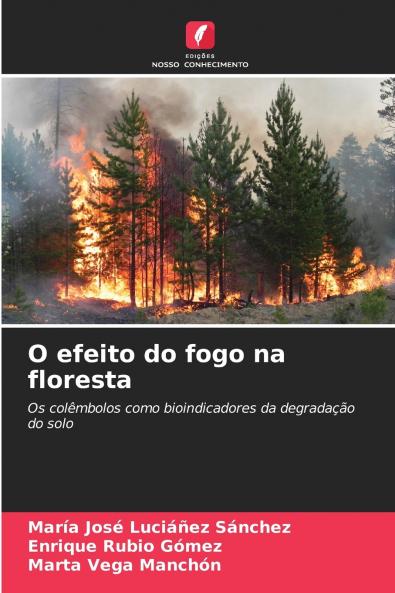 O efeito do fogo na floresta
