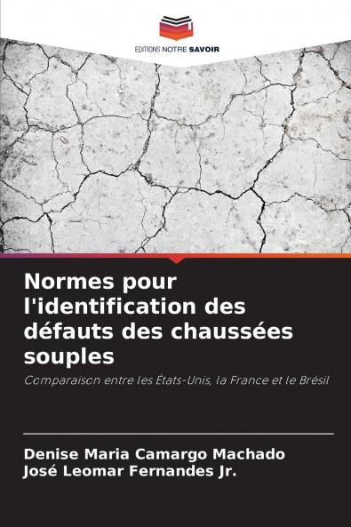 Normes pour l'identification des défauts des chaussées souples