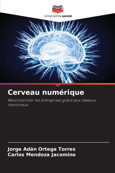 Cerveau numérique