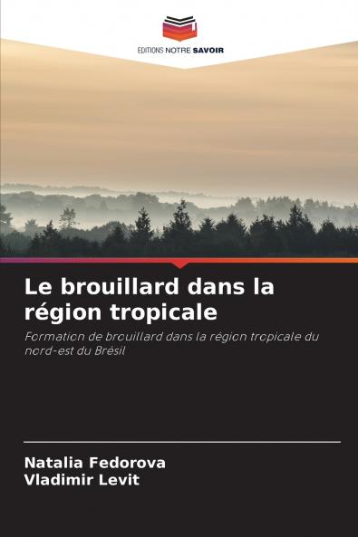 Le brouillard dans la région tropicale