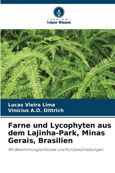 Farne und Lycophyten aus dem Lajinha-Park Minas Gerais Brasilien