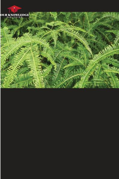 Ferns and Lycophytes from Lajinha Park Minas Gerais Brazil