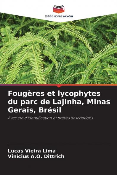 Fougères et lycophytes du parc de Lajinha Minas Gerais Brésil