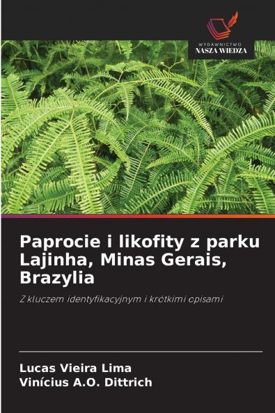 Paprocie i likofity z parku Lajinha Minas Gerais Brazylia