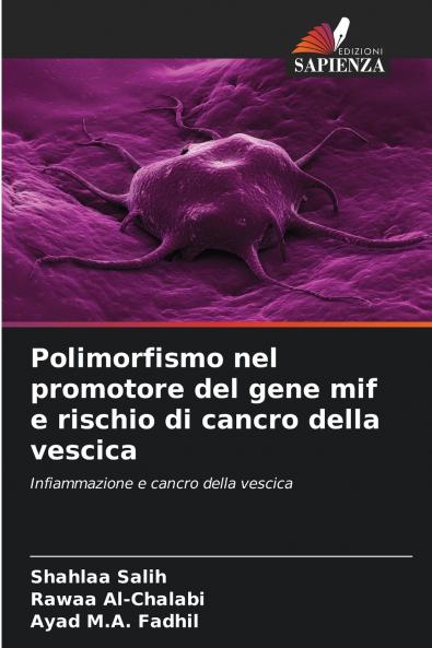 Polimorfismo nel promotore del gene mif e rischio di cancro della vescica