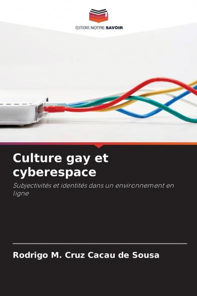Culture gay et cyberespace