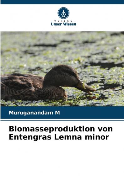 Biomasseproduktion von Entengras Lemna minor