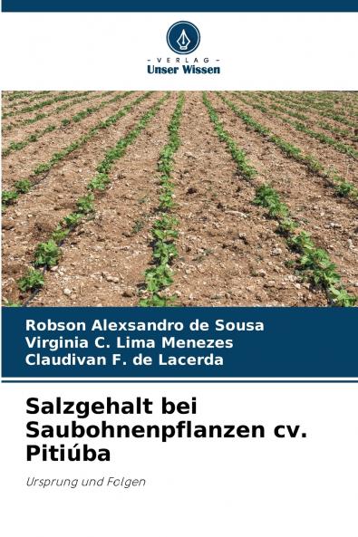 Salzgehalt bei Saubohnenpflanzen cv. Pitiúba