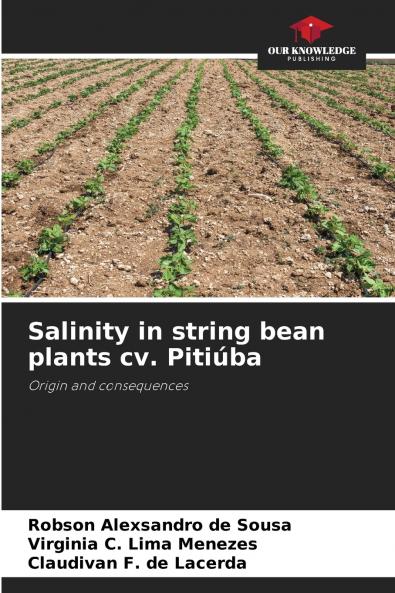 Salinity in string bean plants cv. Pitiúba