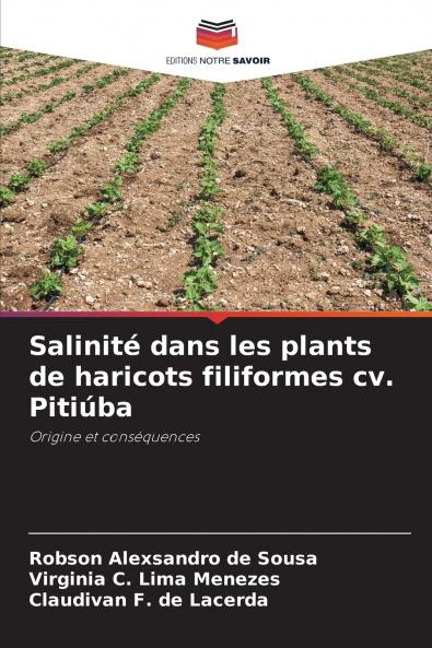 Salinité dans les plants de haricots filiformes cv. Pitiúba