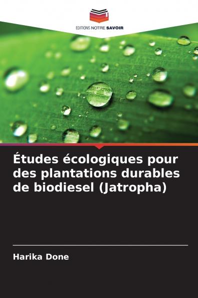 Études écologiques pour des plantations durables de biodiesel (Jatropha)