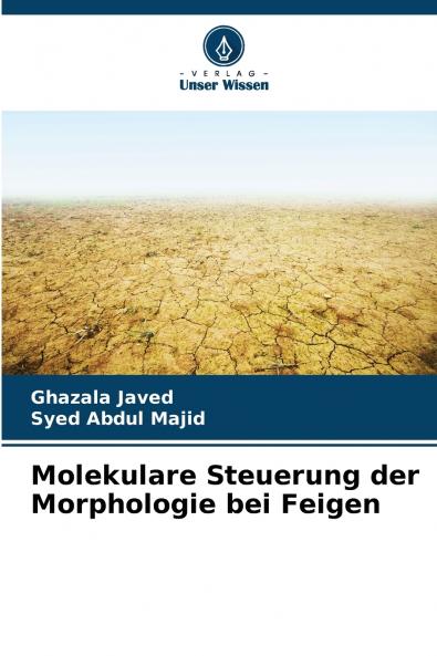 Molekulare Steuerung der Morphologie bei Feigen