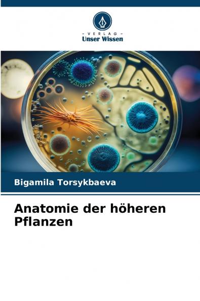 Anatomie der höheren Pflanzen