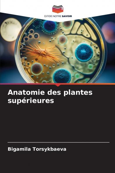 Anatomie des plantes supérieures