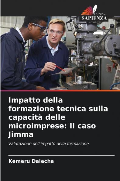Impatto della formazione tecnica sulla capacità delle microimprese