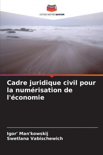 Cadre juridique civil pour la numérisation de l'économie