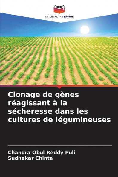 Clonage de gènes réagissant à la sécheresse dans les cultures de légumineuses