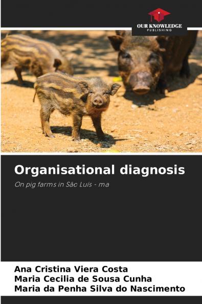 Organisational diagnosis