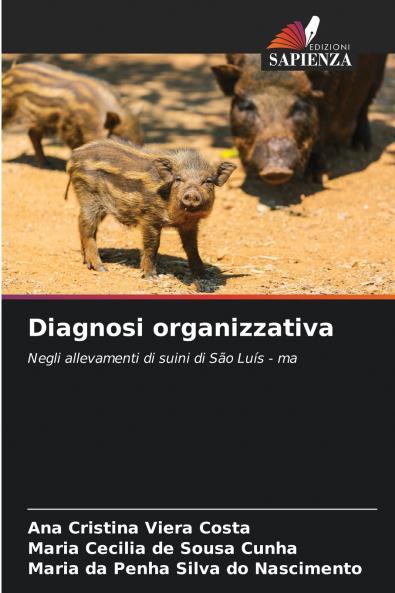 Diagnosi organizzativa