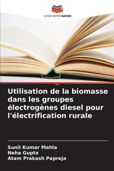 Utilisation de la biomasse dans les groupes électrogènes diesel pour l'électrification rurale