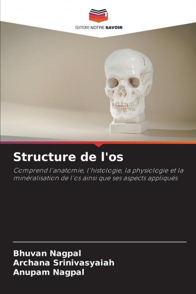 Structure de l'os