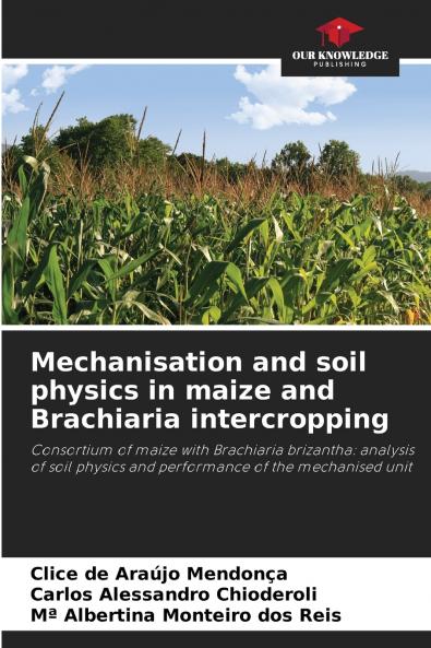 Mechanisation and soil physics in maize and Brachiaria intercropping