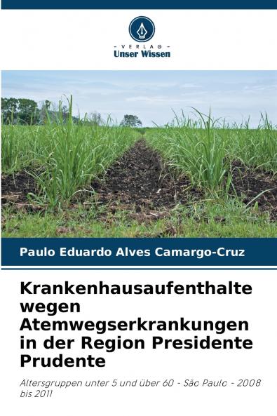 Krankenhausaufenthalte wegen Atemwegserkrankungen in der Region Presidente Prudente
