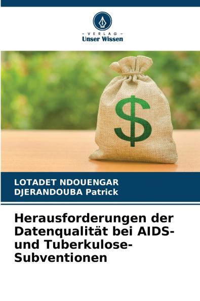 Herausforderungen der Datenqualität bei AIDS- und Tuberkulose-Subventionen