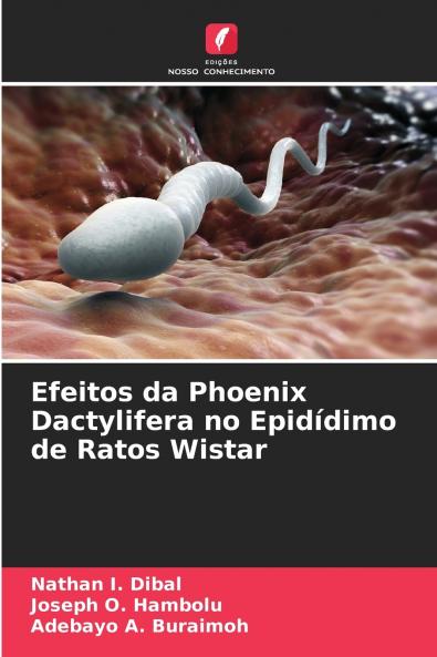 Efeitos da Phoenix Dactylifera no Epidídimo de Ratos Wistar