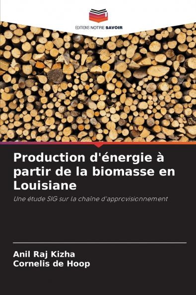 Production d'énergie à partir de la biomasse en Louisiane