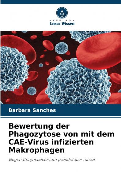 Bewertung der Phagozytose von mit dem CAE-Virus infizierten Makrophagen