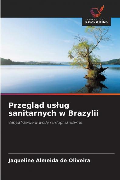 Przegląd usług sanitarnych w Brazylii