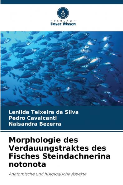 Morphologie des Verdauungstraktes des Fisches Steindachnerina notonota