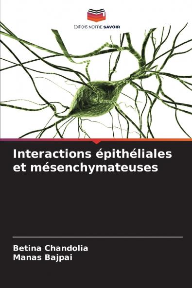 Interactions épithéliales et mésenchymateuses