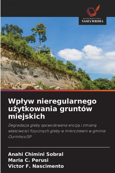 Wpływ nieregularnego użytkowania gruntów miejskich