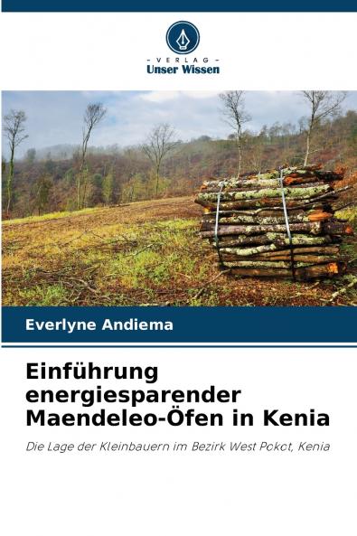 Einführung energiesparender Maendeleo-Öfen in Kenia