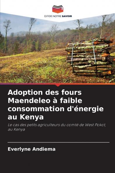 Adoption des fours Maendeleo à faible consommation d'énergie au Kenya