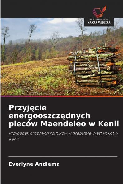 Przyjęcie energooszczędnych pieców Maendeleo w Kenii