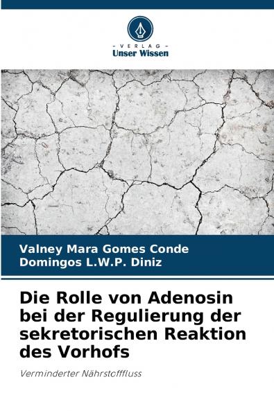 Die Rolle von Adenosin bei der Regulierung der sekretorischen Reaktion des Vorhofs
