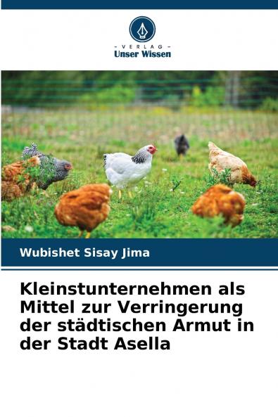 Kleinstunternehmen als Mittel zur Verringerung der städtischen Armut in der Stadt Asella