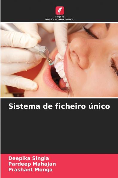 Sistema de ficheiro único
