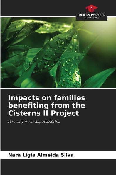 Impacts on families benefiting from the Cisterns II Project