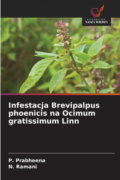 Infestacja Brevipalpus phoenicis na Ocimum gratissimum Linn