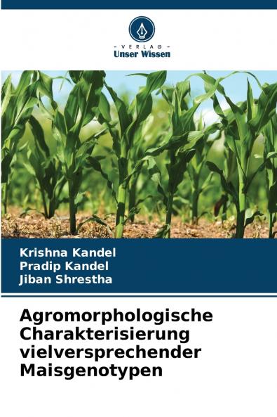 Agromorphologische Charakterisierung vielversprechender Maisgenotypen